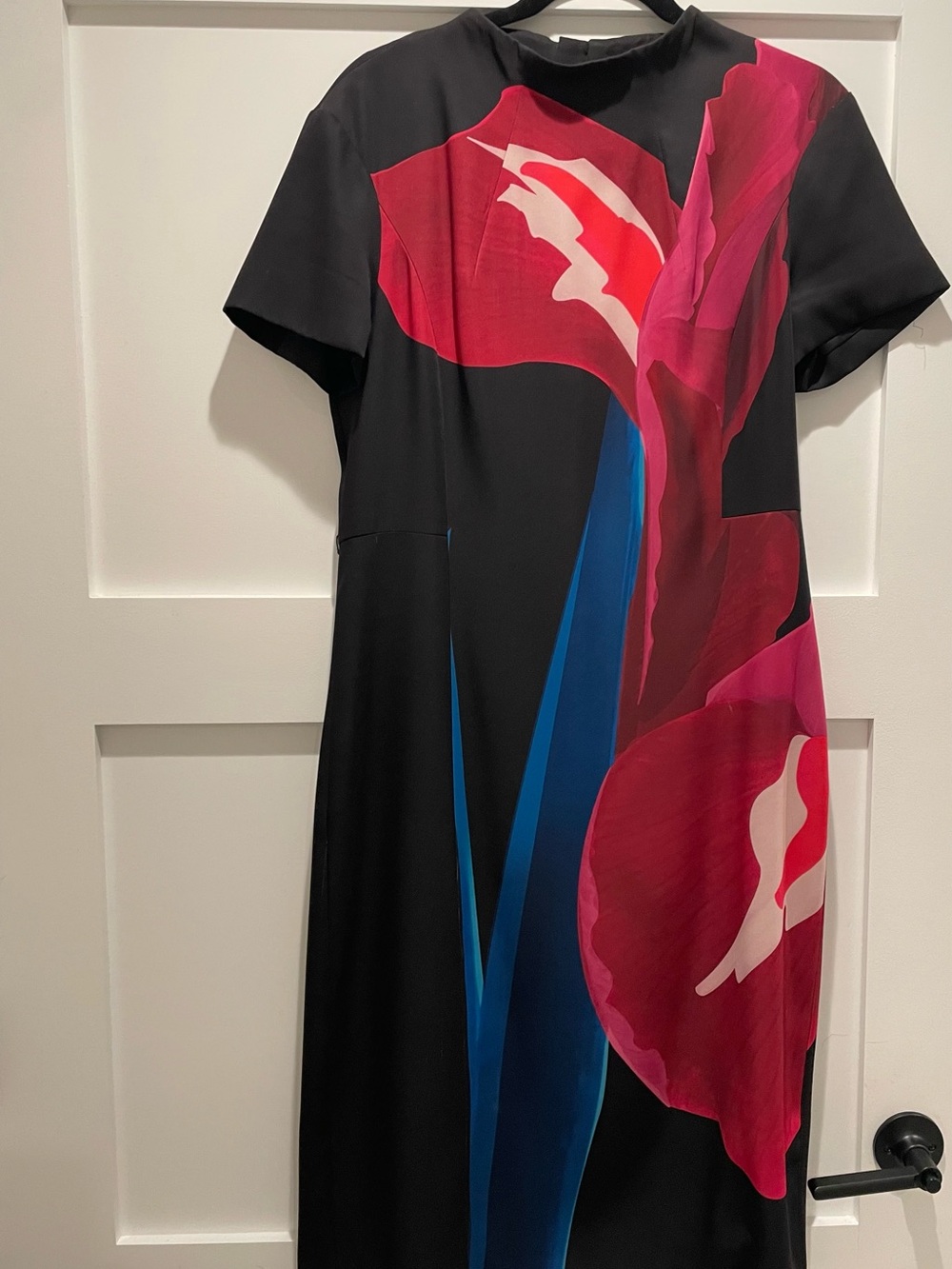 Ted Baker Black Midi Dress with Pink and Blue Floral Print